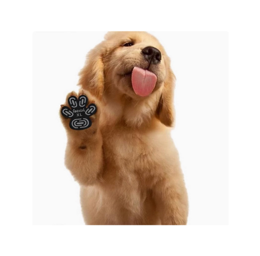 P4007M0303N0001 Disposable Dog Foot Patch