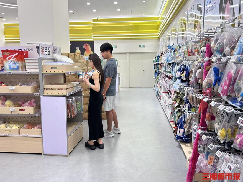 The craze of carrying pets to the river ignites the "it economy", and the sales of pet water play equipment soar